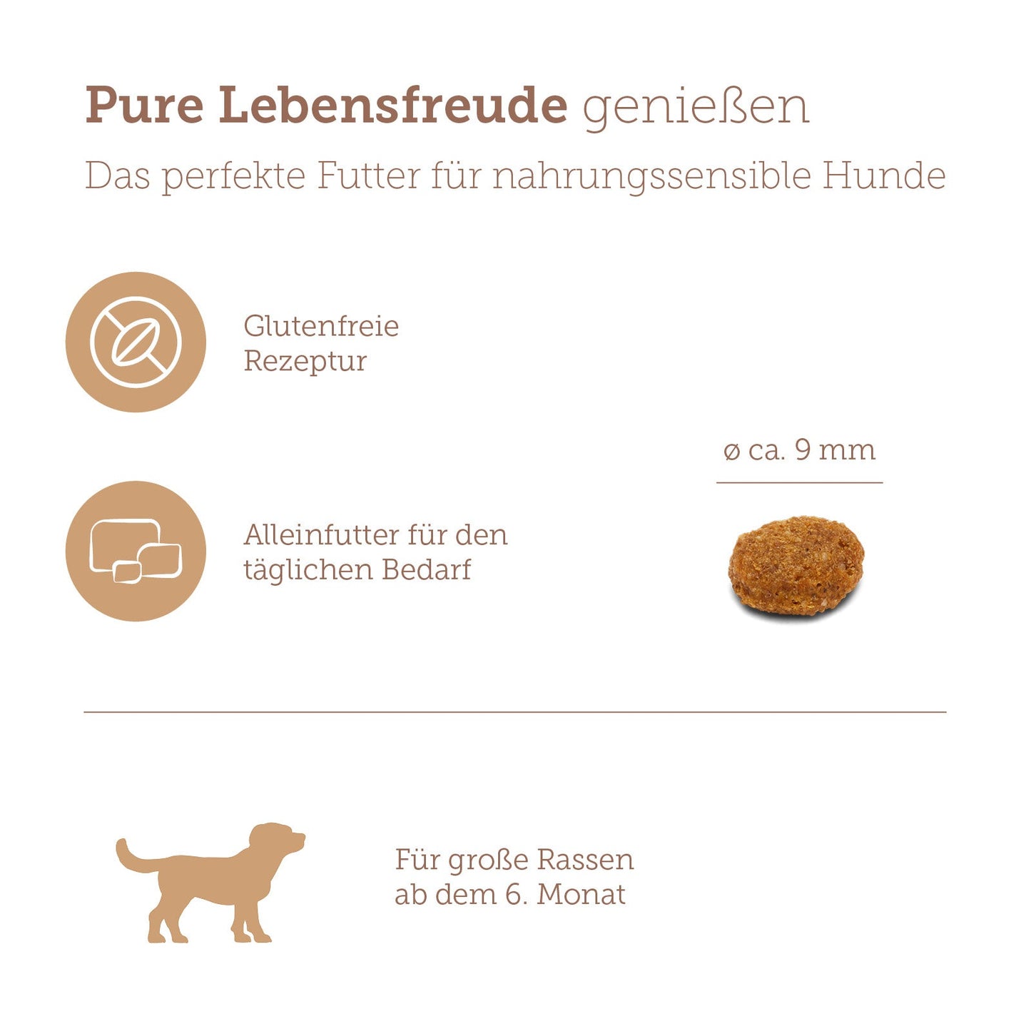 mera pure sensitive Trockenfutter Junior Truthahn & Reis