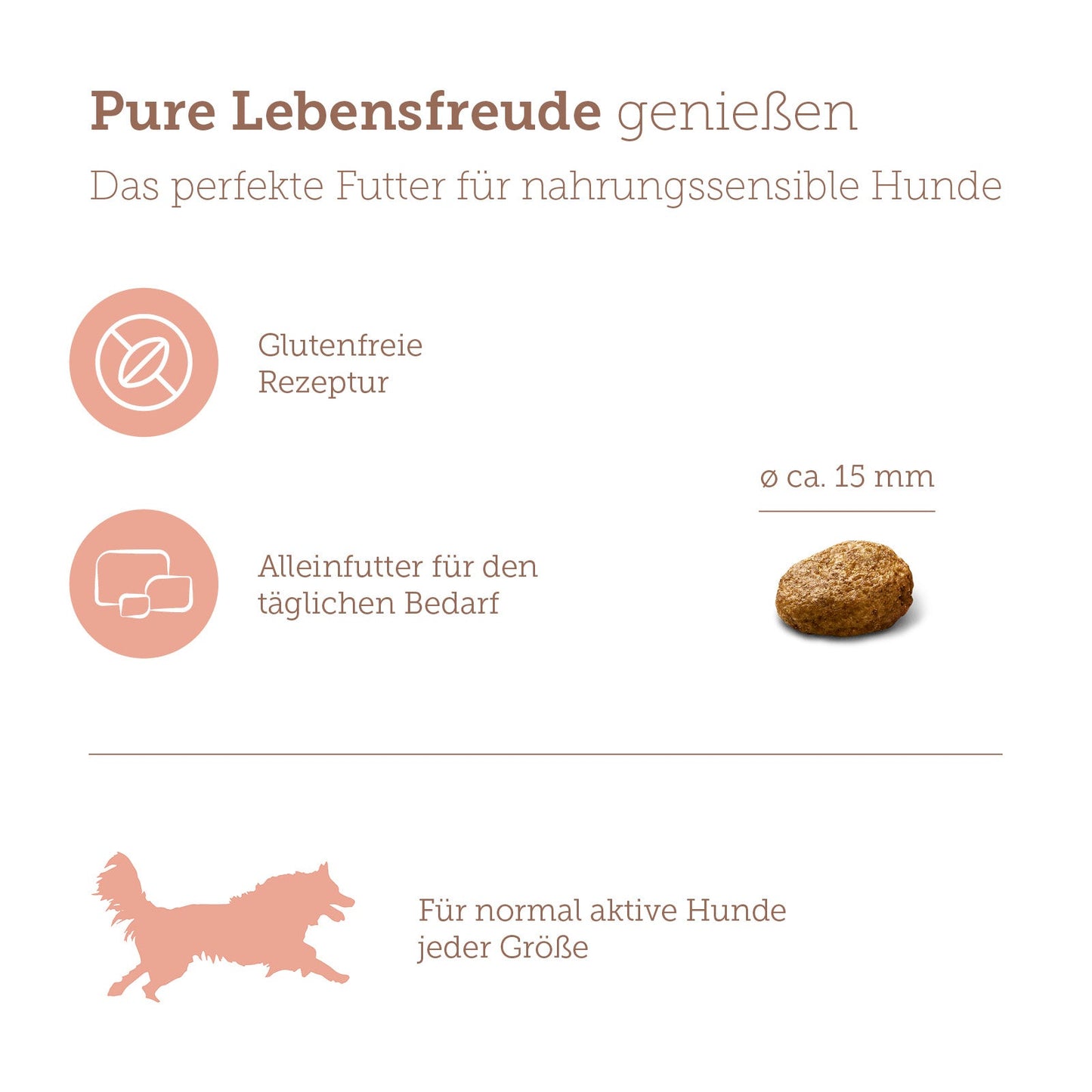 mera pure sensitive Trockenfutter Lachs & Reis