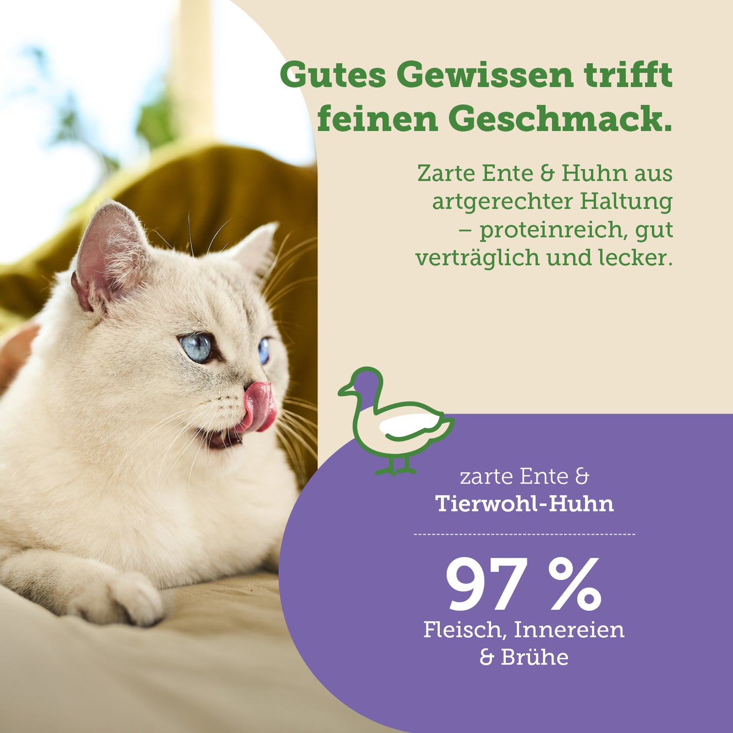 Adult Ente Nassfutter