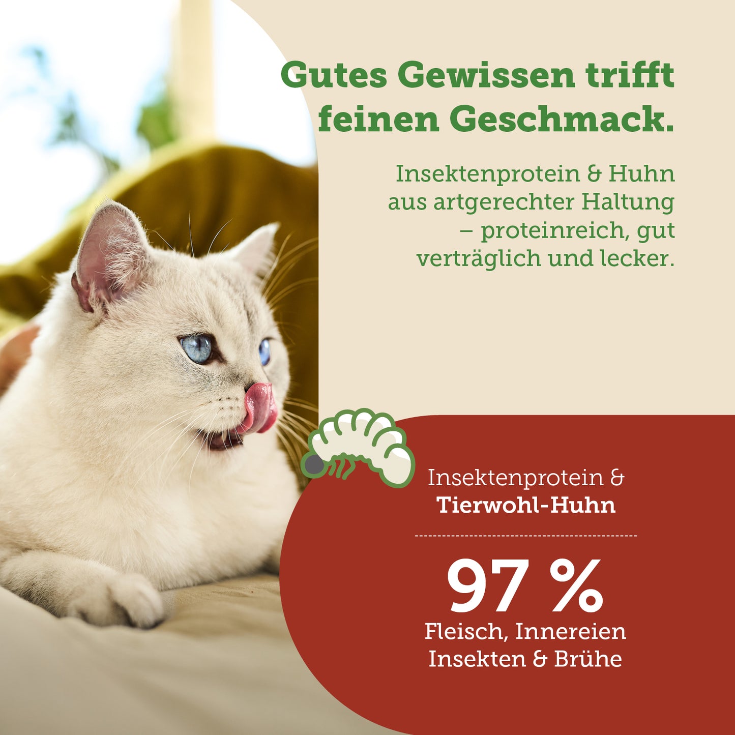 Adult Insekt Nassfutter