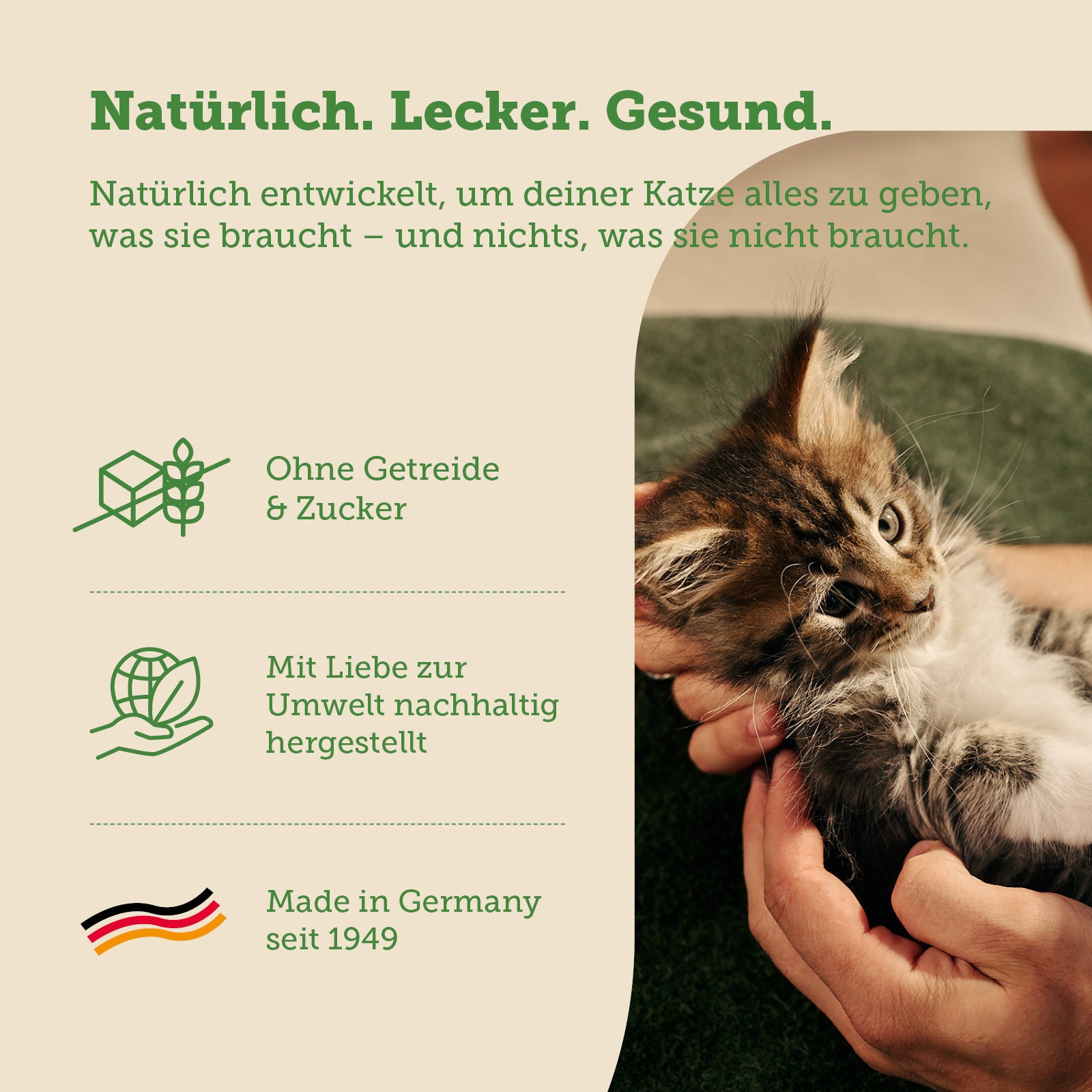 mera Cats Nature Kitten Lachs Trockenfutter Main benefits