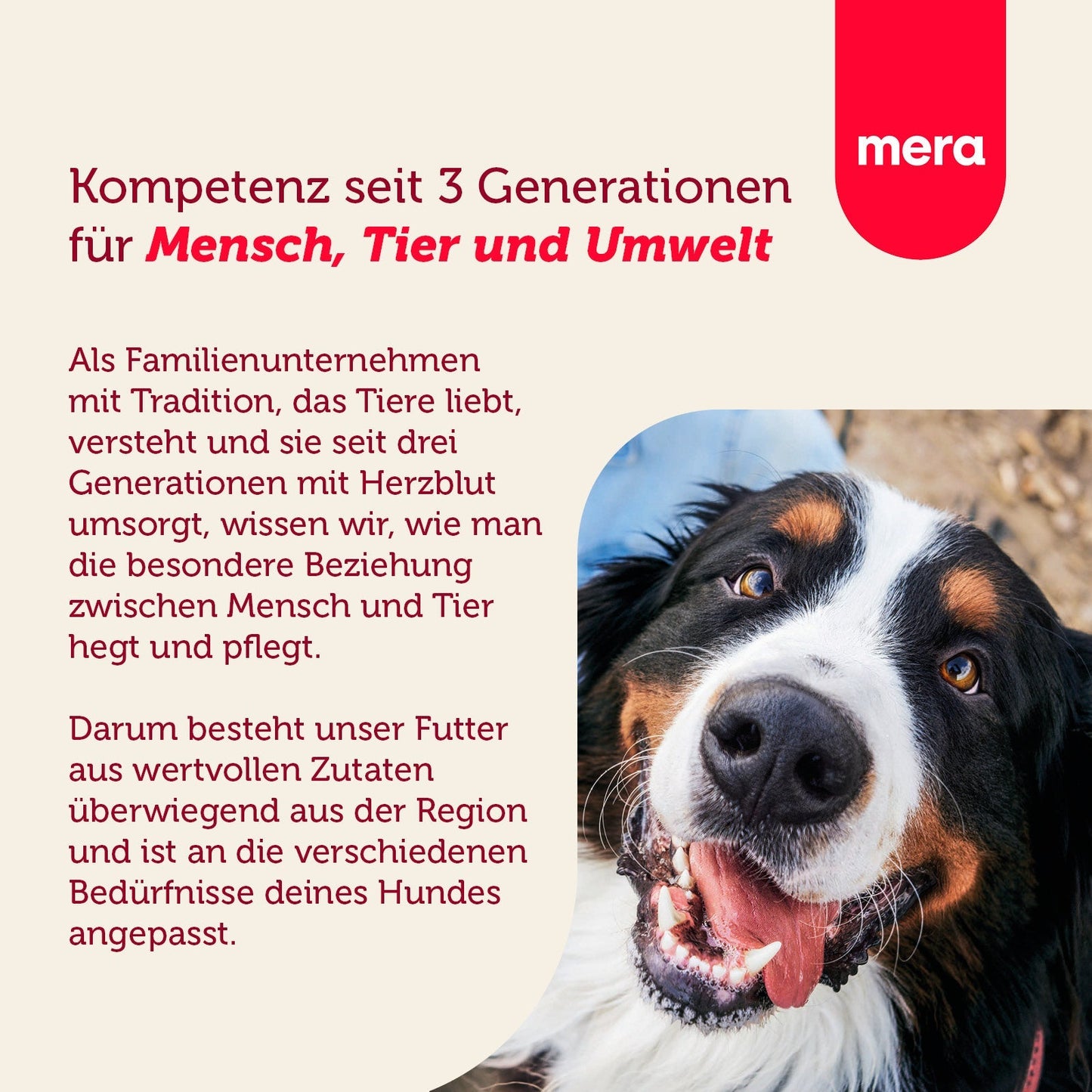 mera essential Brocken Unternehmensvision