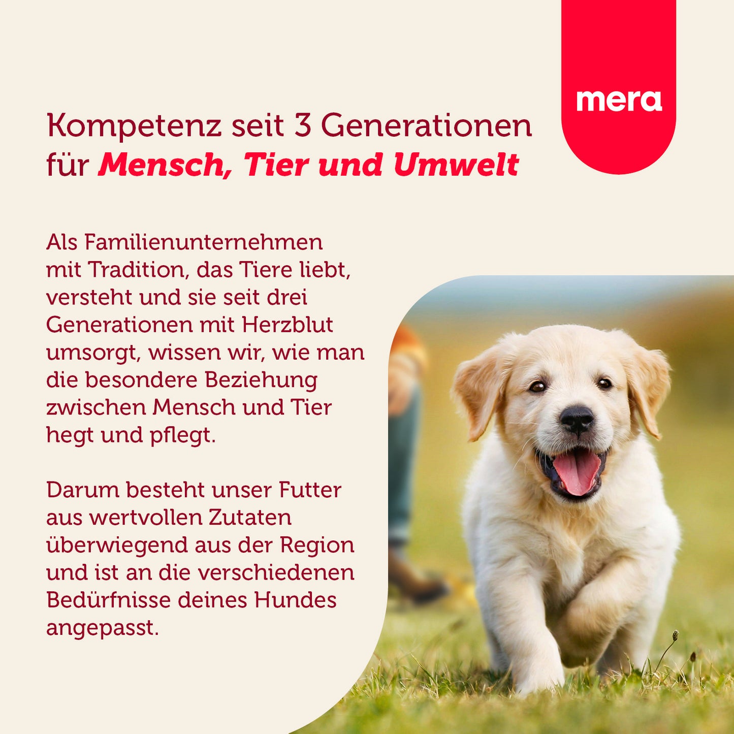 mera essential Junior Unternehmensvision