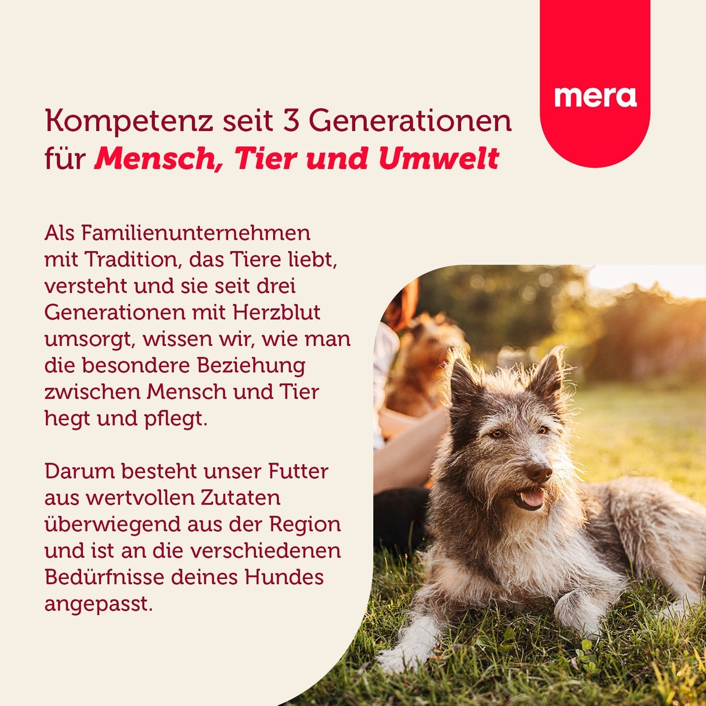 mera essential Softbrocken Unternehmensvision