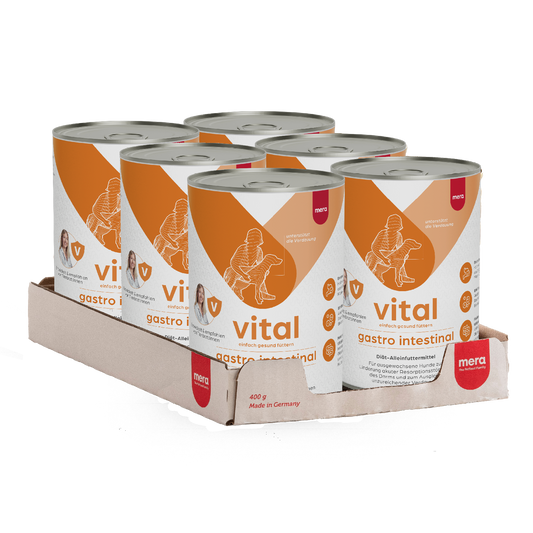 mera vital gastro intestinal Hund Nassfutter Verpackung Kolli