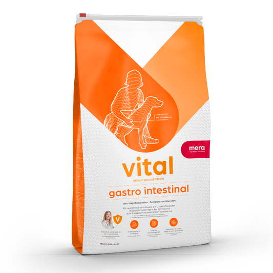 mera vital gastro intestinal Verpackung