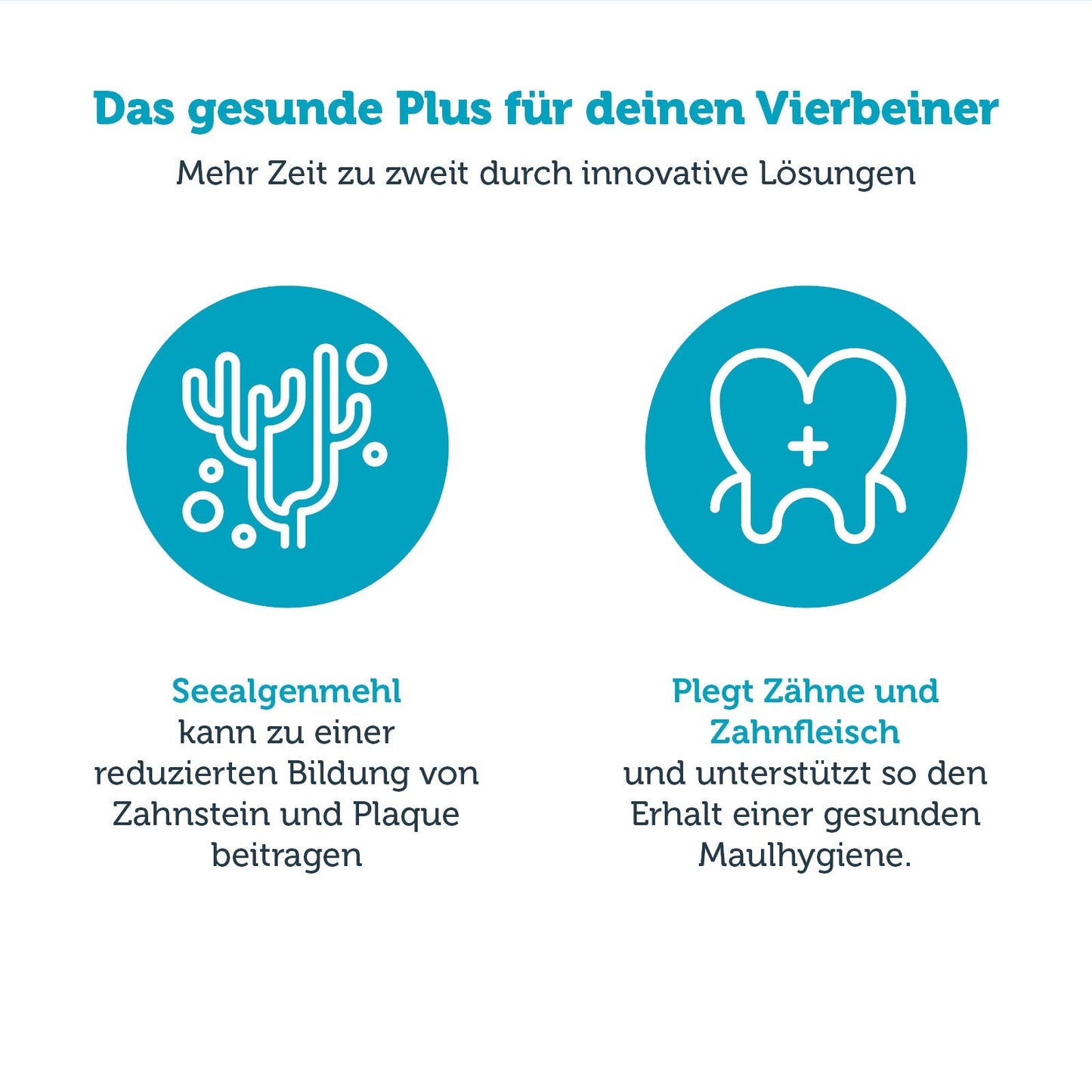 mera vital+ dental Produkteigenschaften