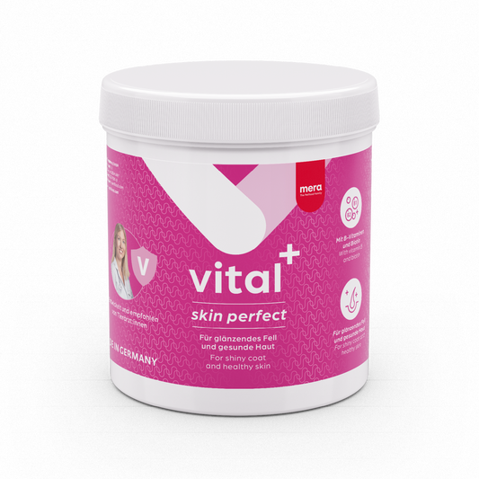 mera vital+ skin perfect Verpackung