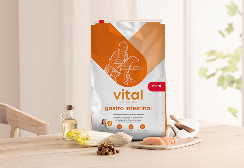 mera vital gastro intestinal Verpackung mit Zutaten