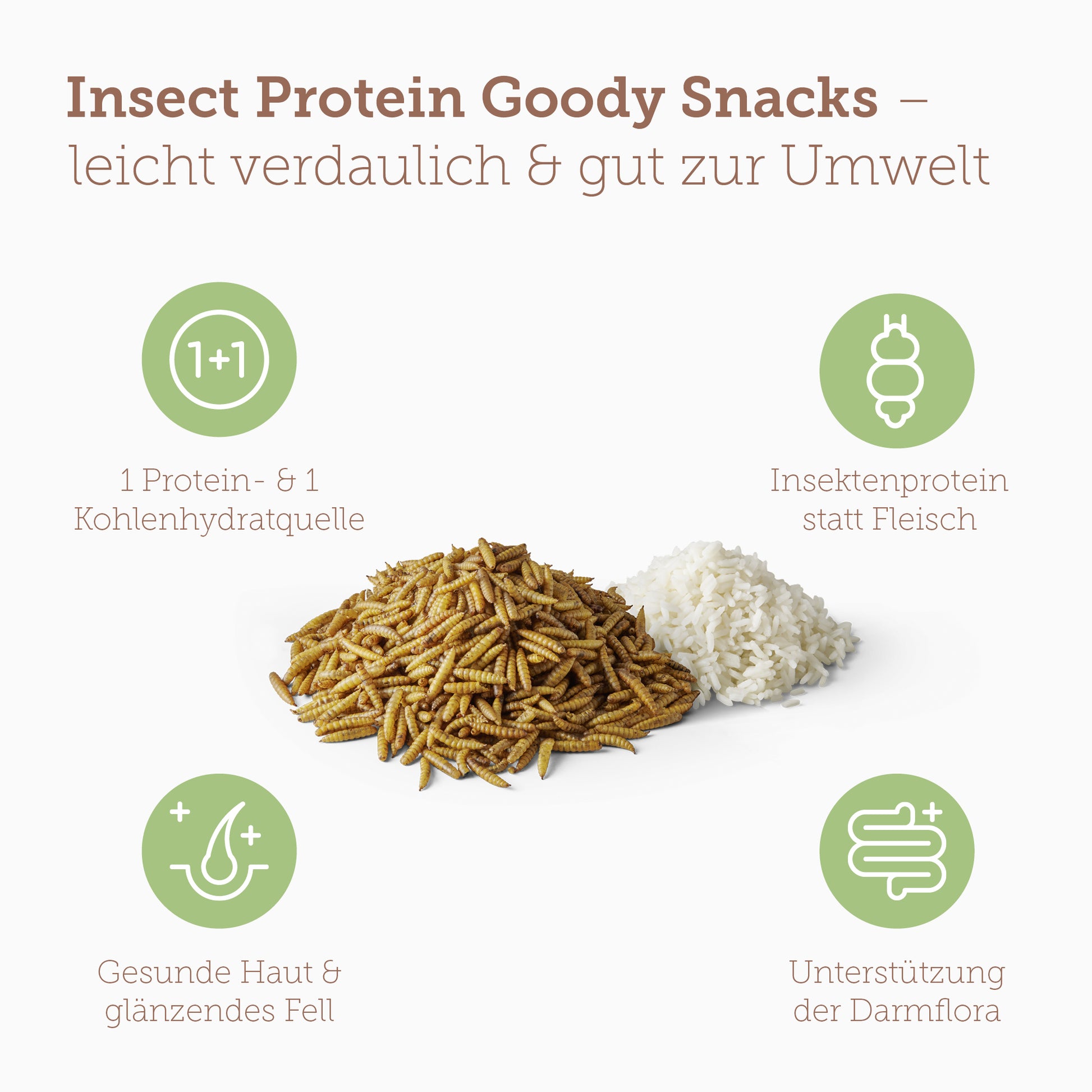 mera Goody Snacks Insect Protein Benefits