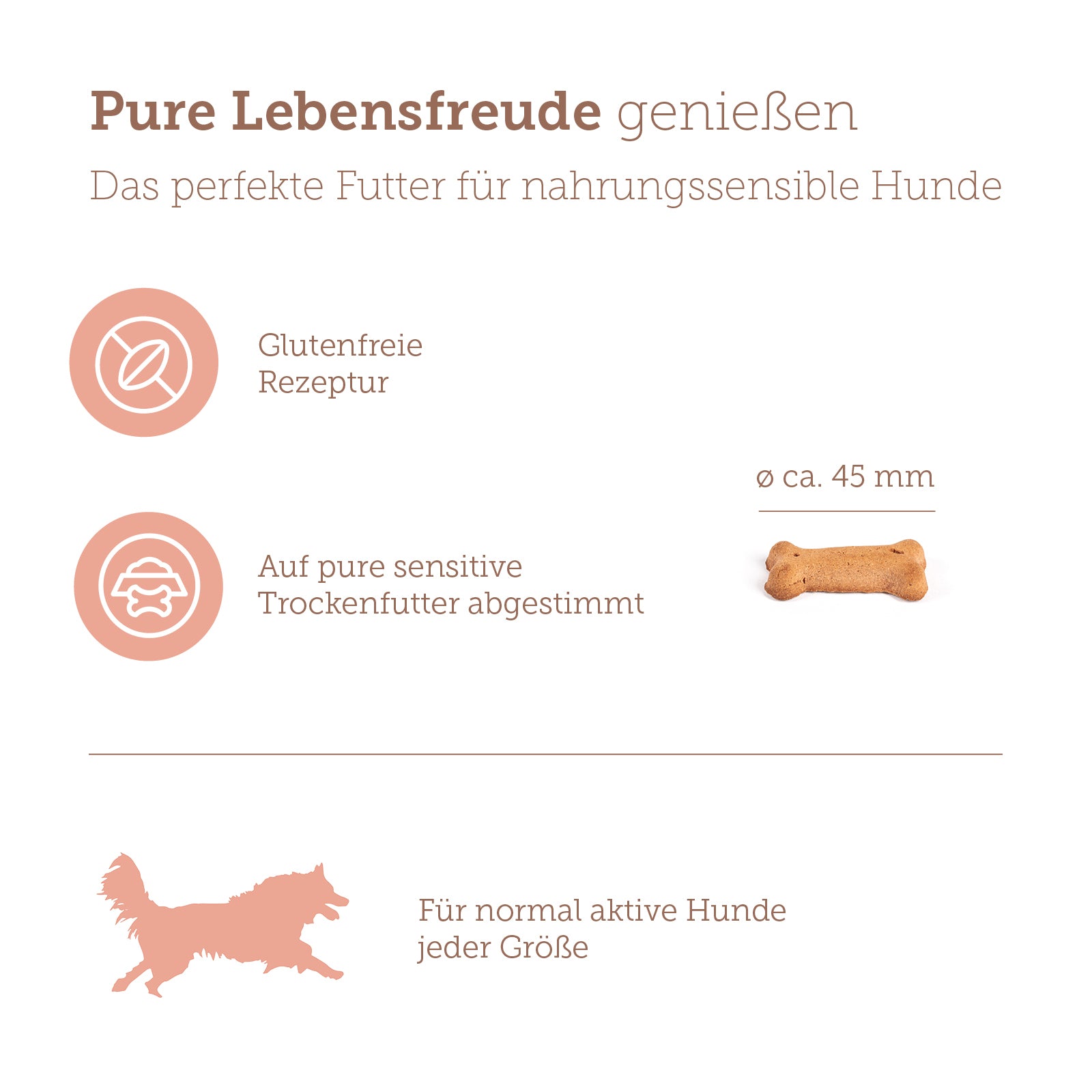 mera Goody Snacks Lachs & Reis Softbenefits