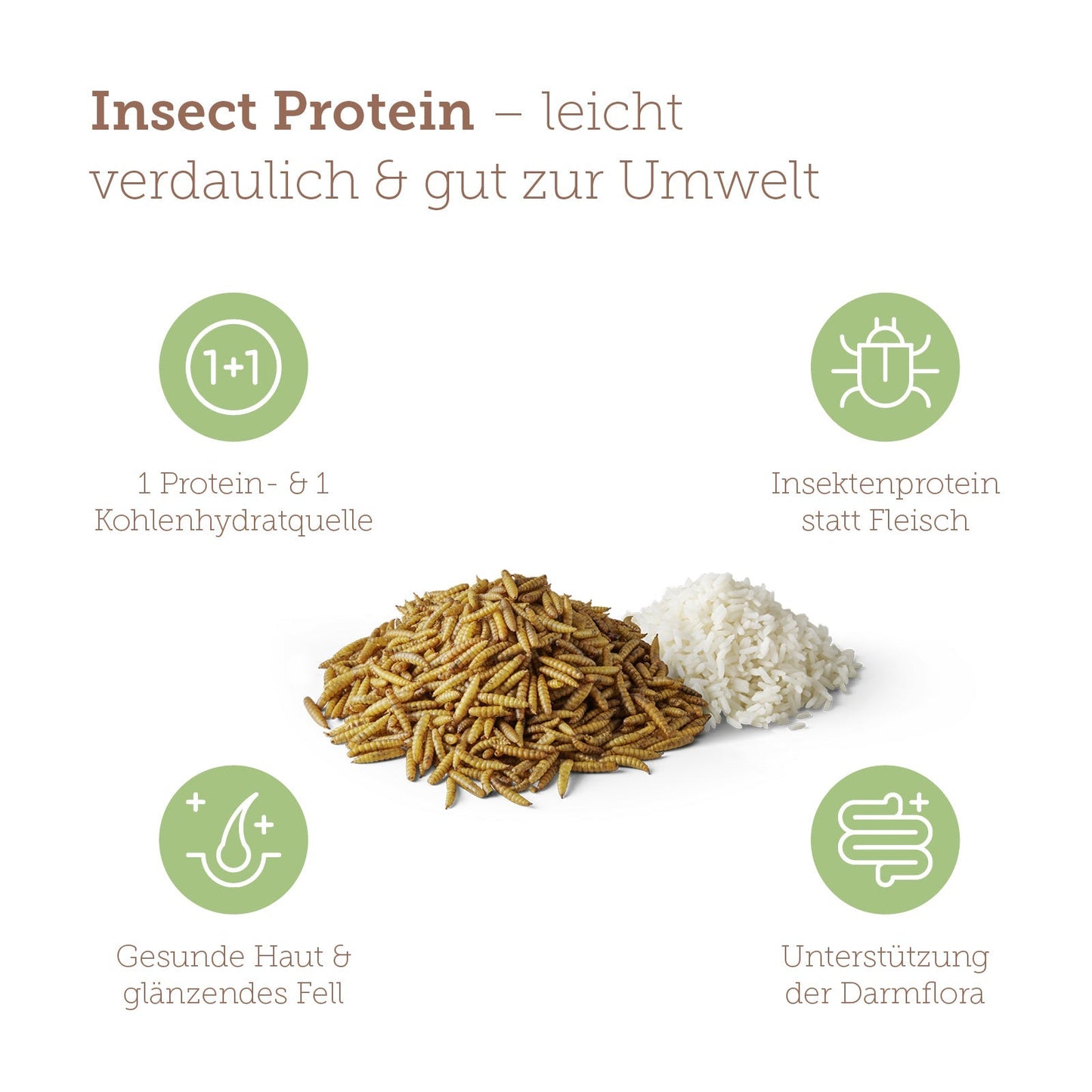 mera pure sensitive Insect Protein Benefits