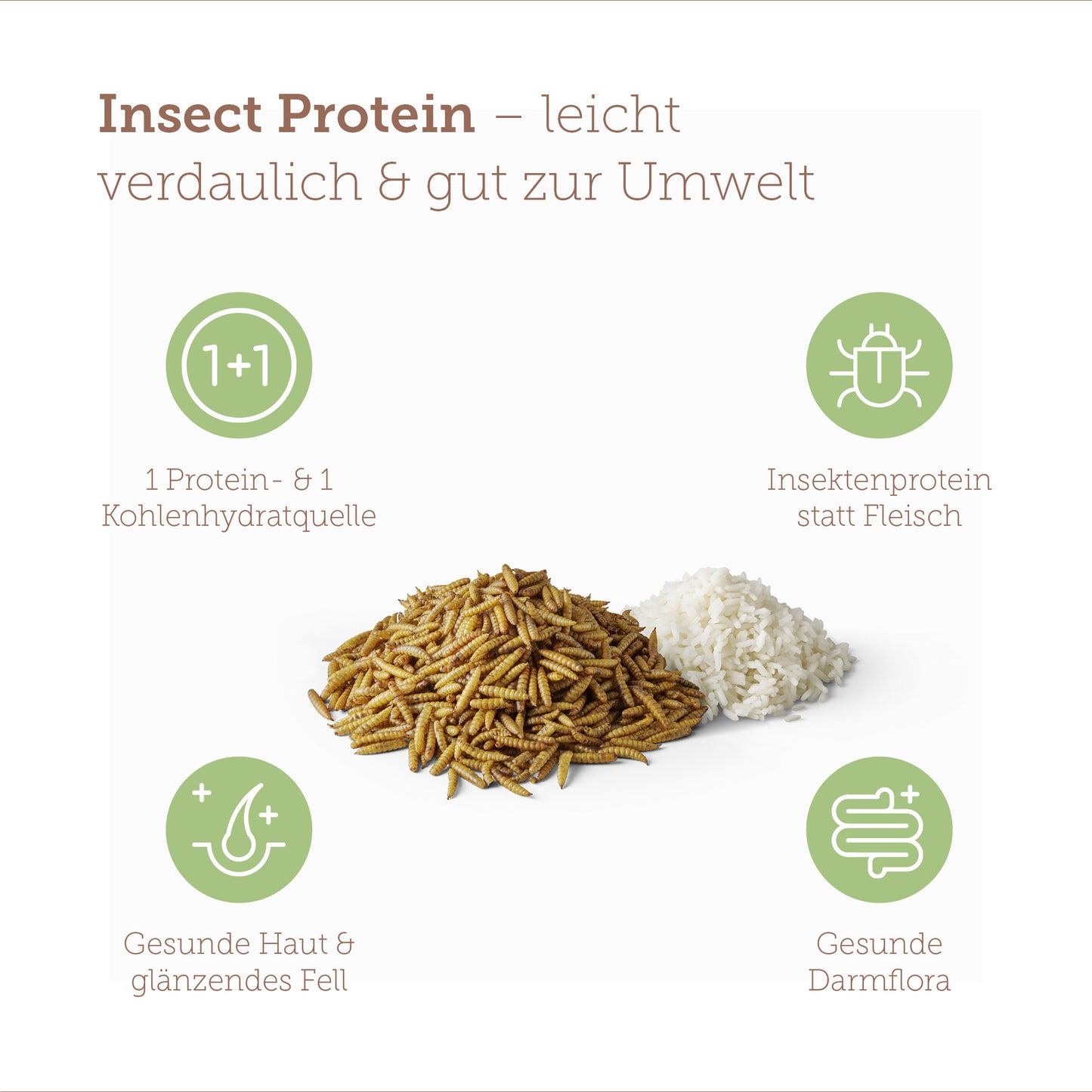 mera pure sensitive Insect Protein Benefits