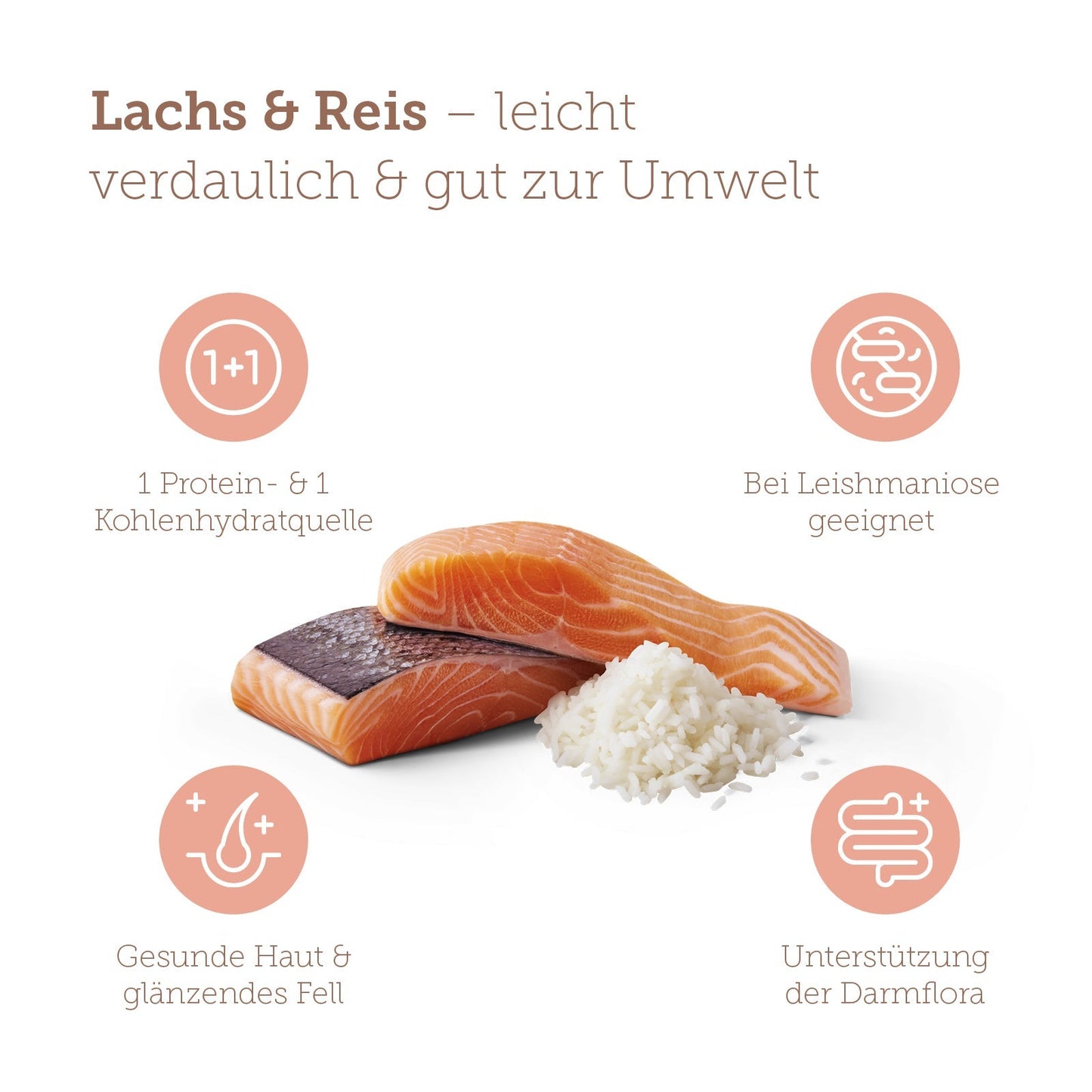 mera pure sensitive Trockenfutter Lachs & Reis Benefits