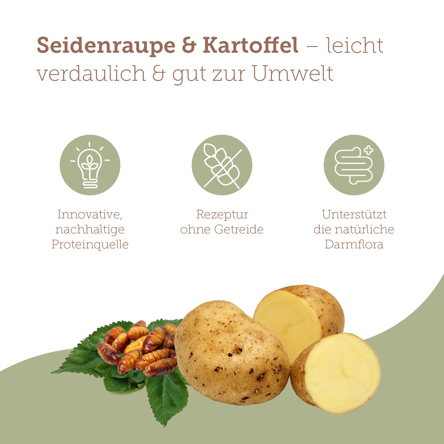 mera pure sensitive Seidenraupe & Kartoffel Trockenfutter Benefits