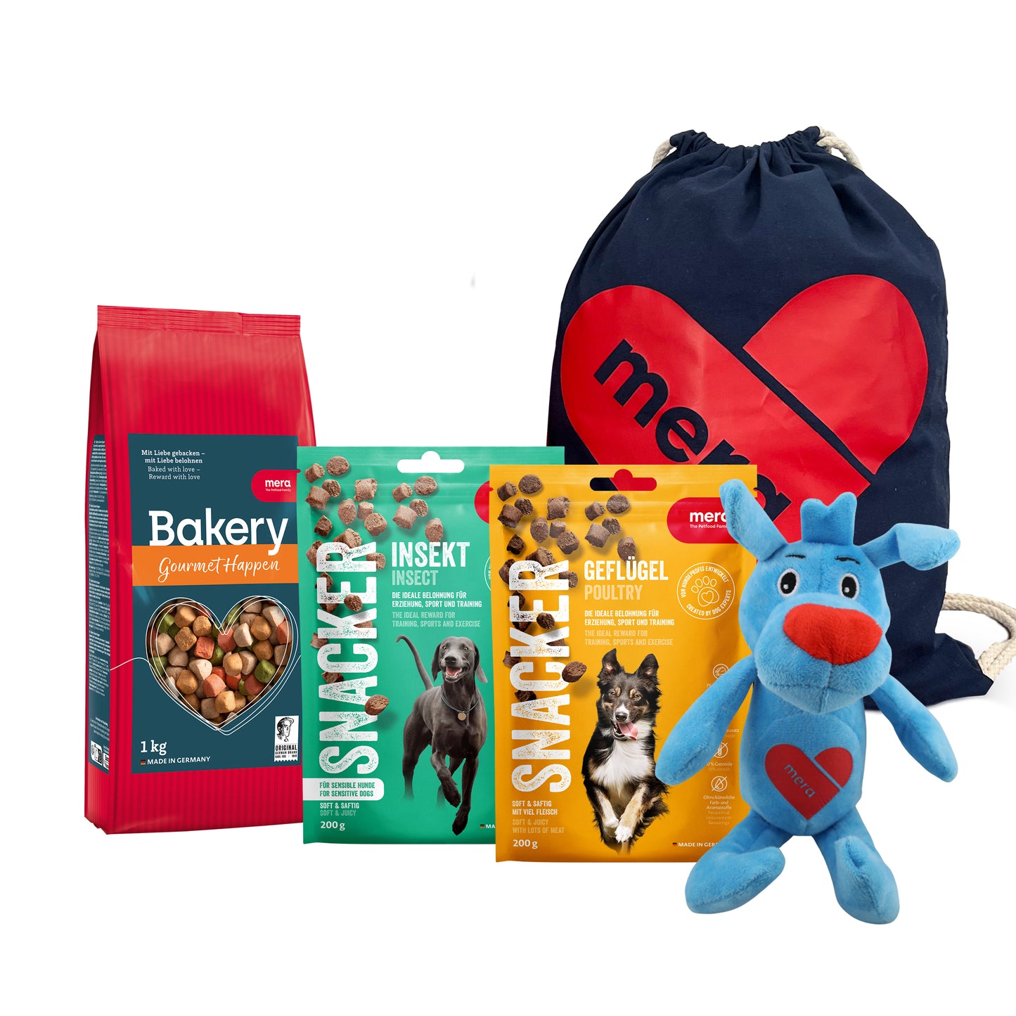 Schulstart Bundle für deinen Hund