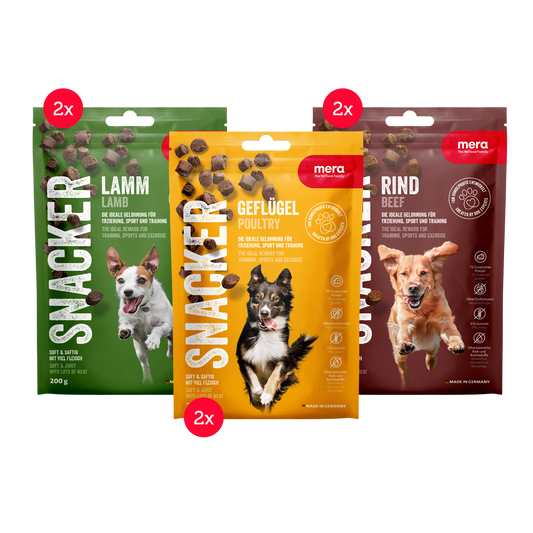 mera SNACKER Mixtray Verpackung