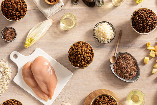 Diätfutter für besondere Bedürfnisse