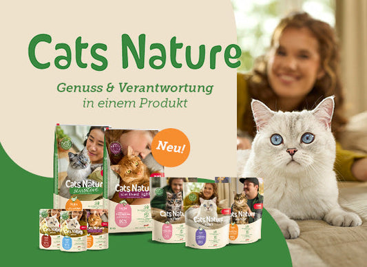 Cats Nature