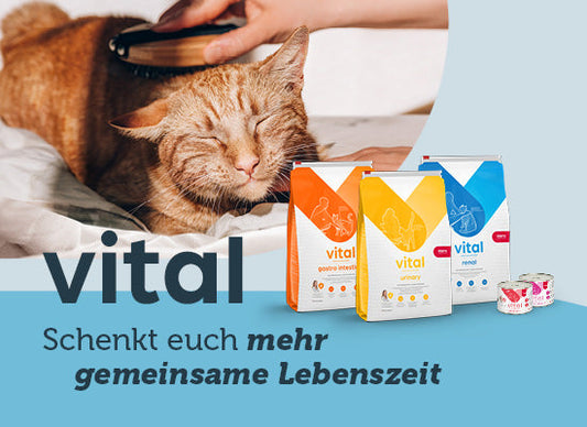 mera vital für Katzen