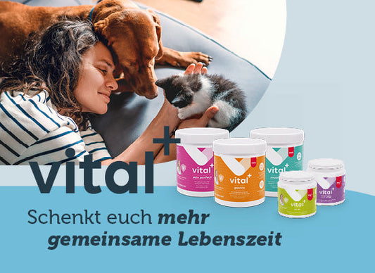 mera vital+
