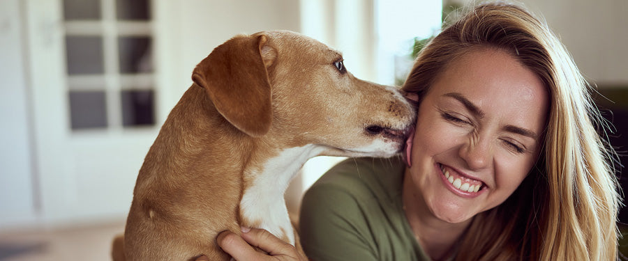 Der Hund schleckt das Ohr der Frau