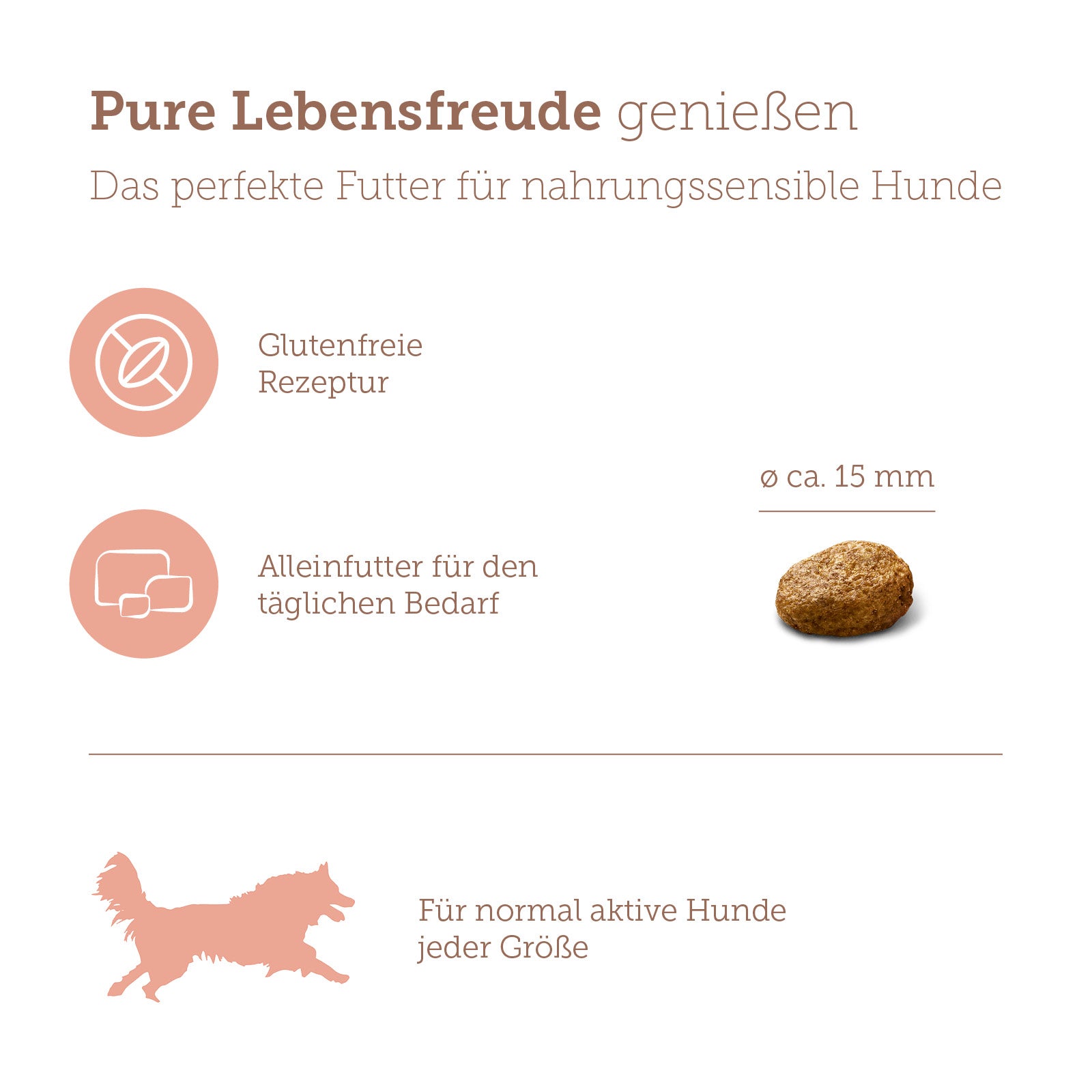 mera pure sensitive Trockenfutter Lachs & Reis