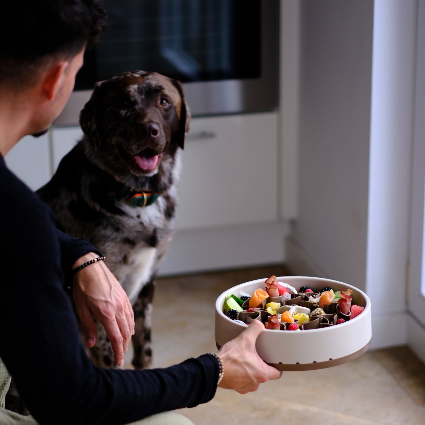 Anti Schling Napf Hund Davybarkmo Soulbowl