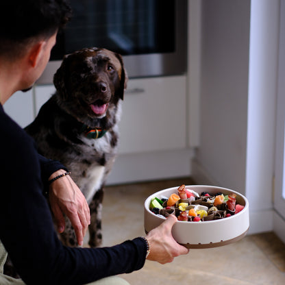 Anti Schling Napf Hund Davybarkmo Soulbowl