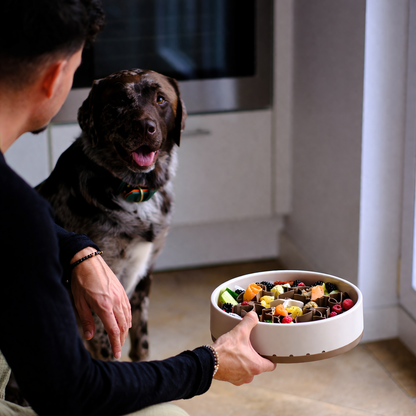 Anti Schling Napf Hund Davybarkmo Soulbowl
