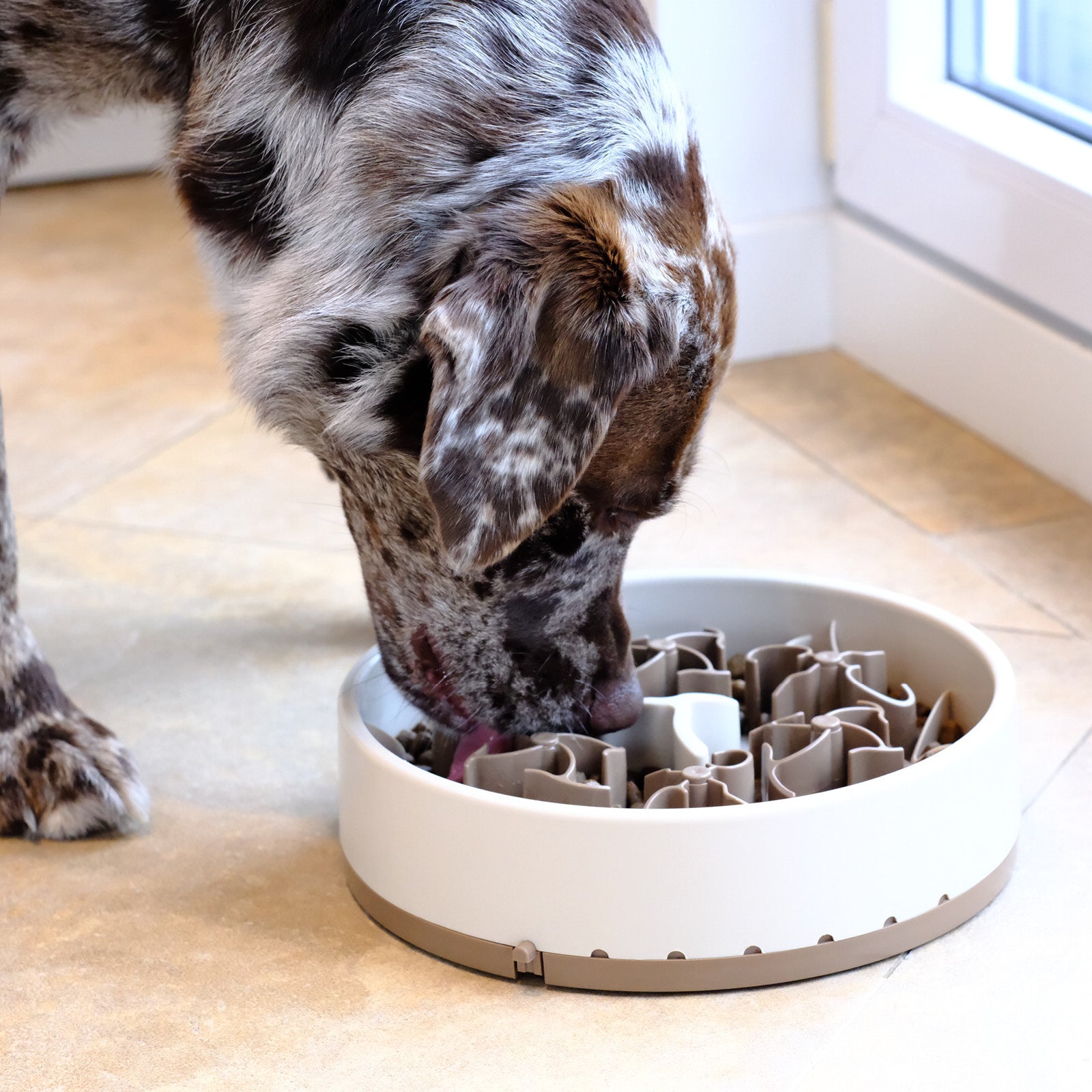 Anti Schling Napf Hund Davybarkmo Soulbowl