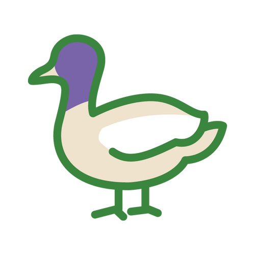 mera Cats Nature Icon Ente