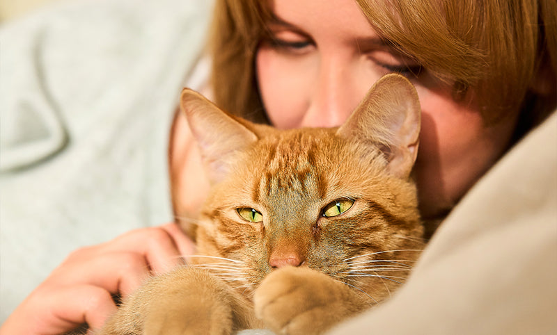 mera Cats Nature Real Stories
