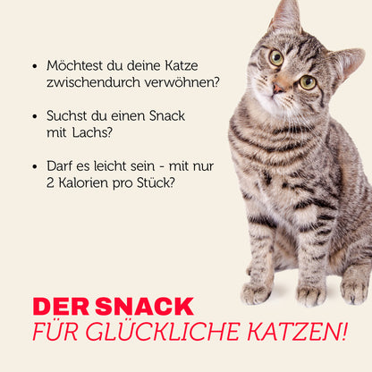 mera Crunch & Soft Lachs Probleme
