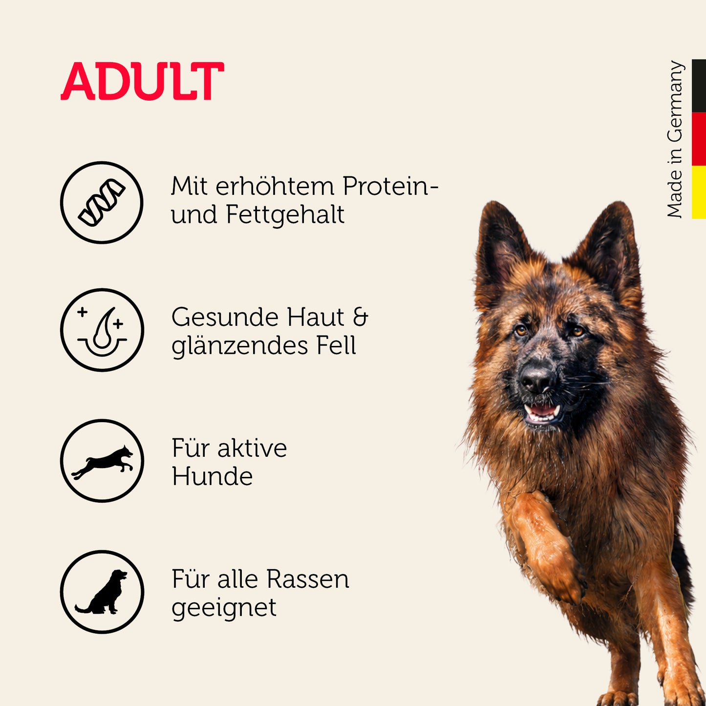 Adult-Hundefutter für alle aktiven Hunde