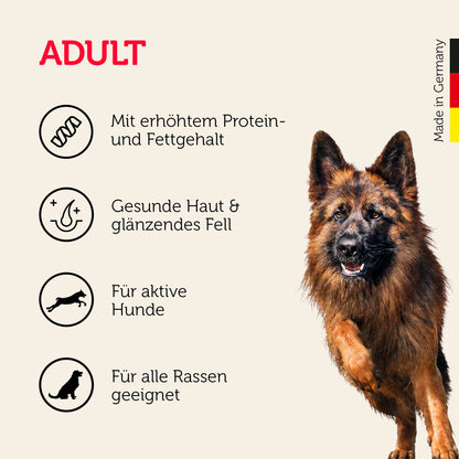 Adult-Hundefutter für alle aktiven Hunde