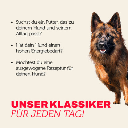 Hundefutter Klassiker für jeden Tag - ausgewogen für aktive Hunde