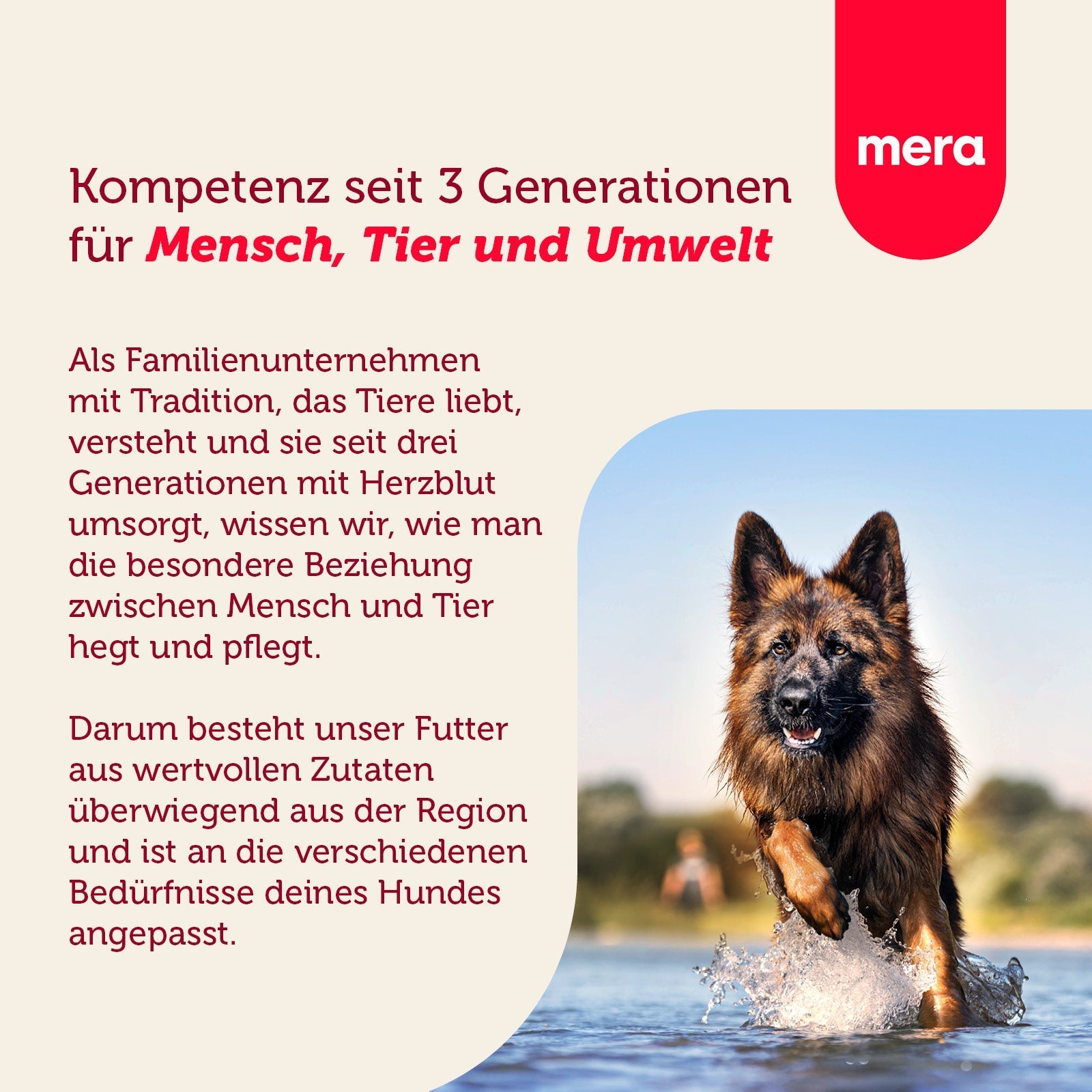 mera essential Active Unternehmensvision