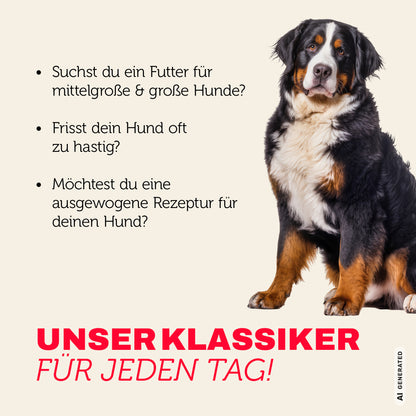 Hundefutter Klassiker für jeden Tag - ausgewogen und mit mehr Genuss