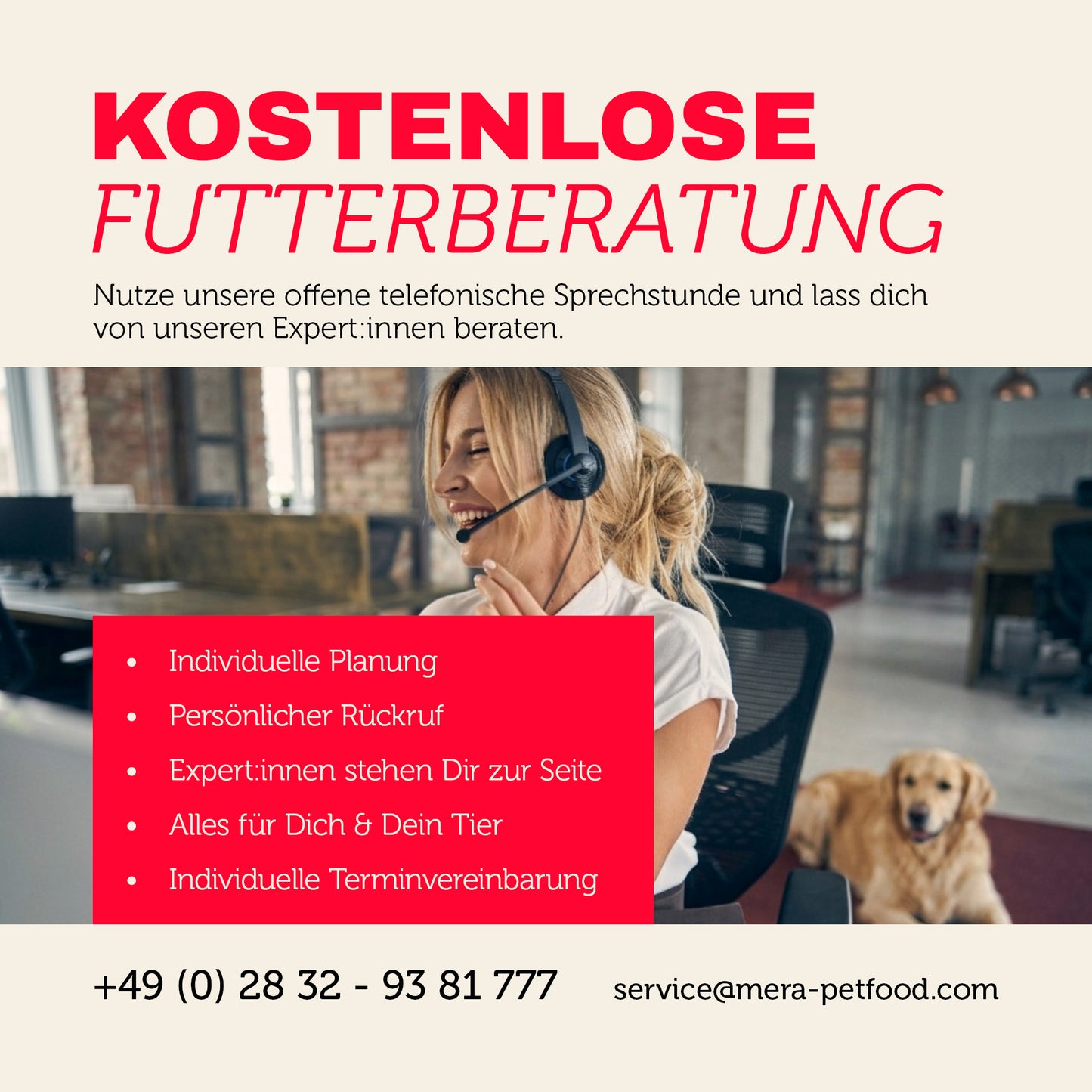 soft brocken Trockenfutter