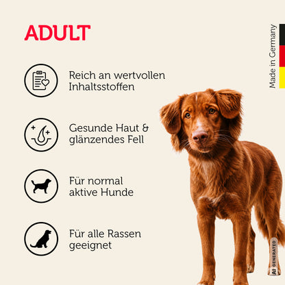 Adult-Hundefutter für alle Hundegrößen