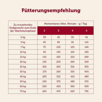mera essential Junior Fütterungsempfehlung