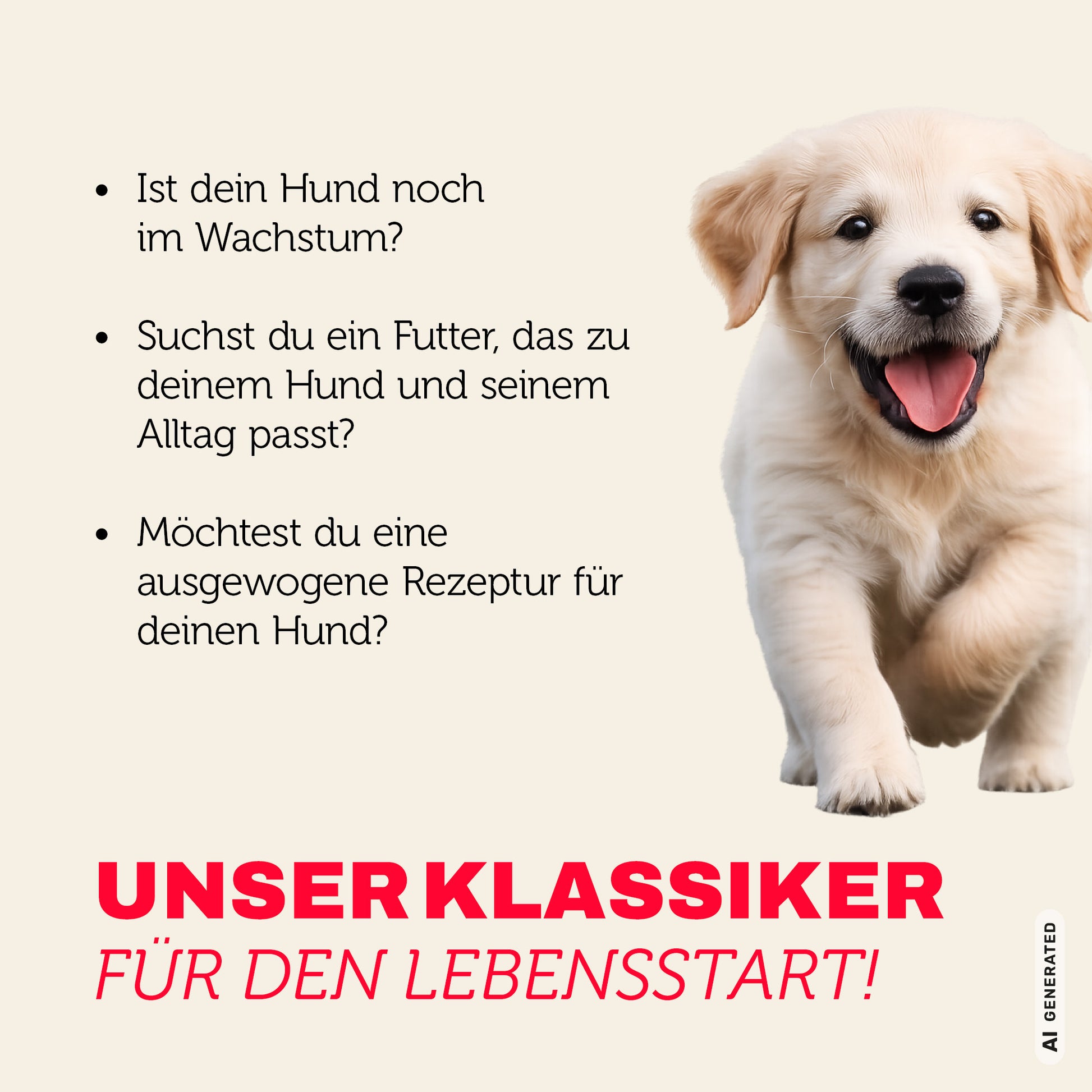 Welpenfutter für jeden Tag - ausgewogen und mit mehr Genuss für Welpen