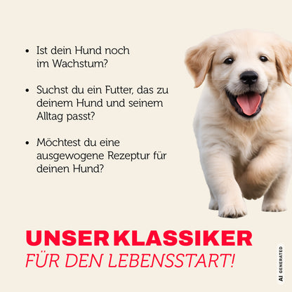 Welpenfutter für jeden Tag - ausgewogen und mit mehr Genuss für Welpen