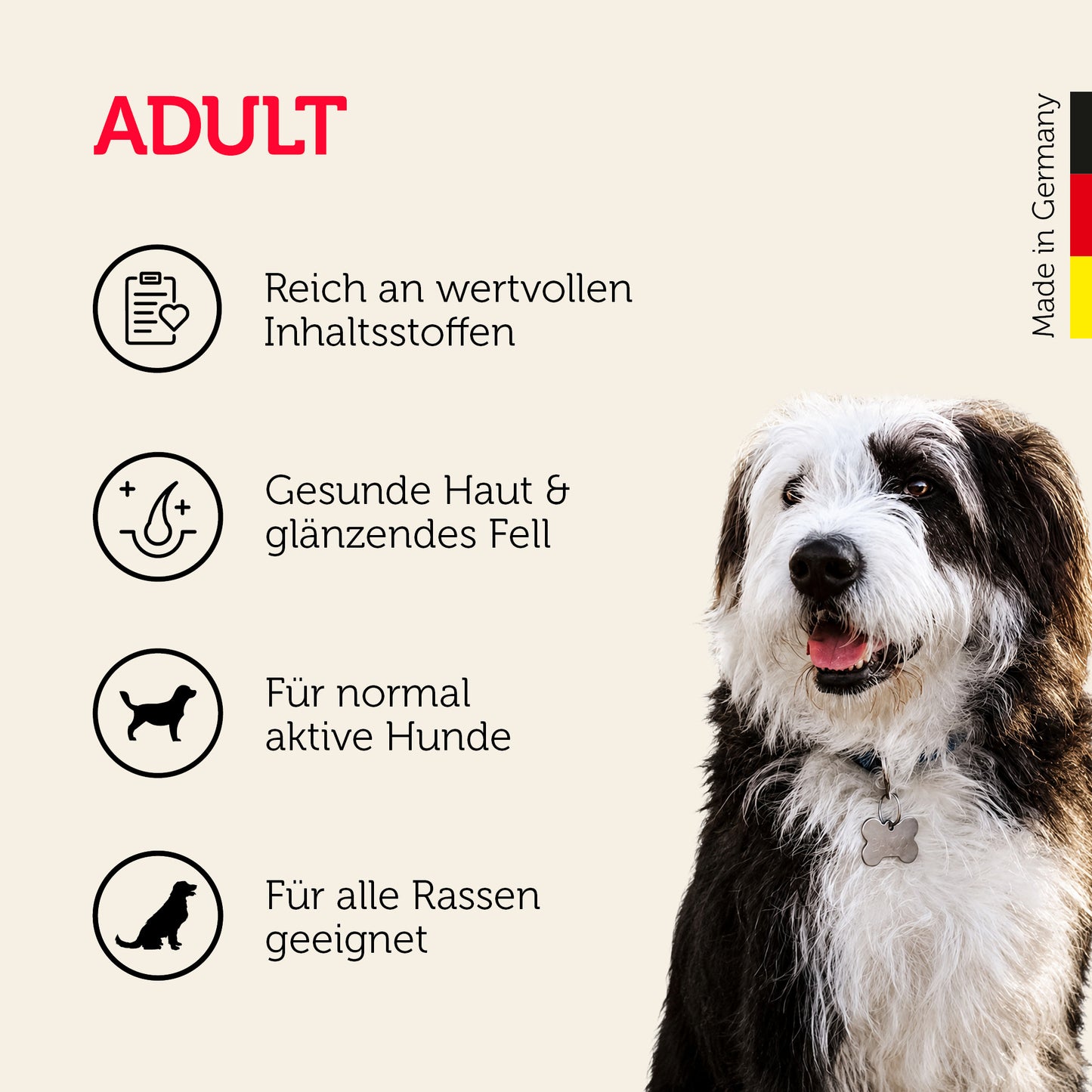 Adult-Hundefutter für alle Hundegrößen