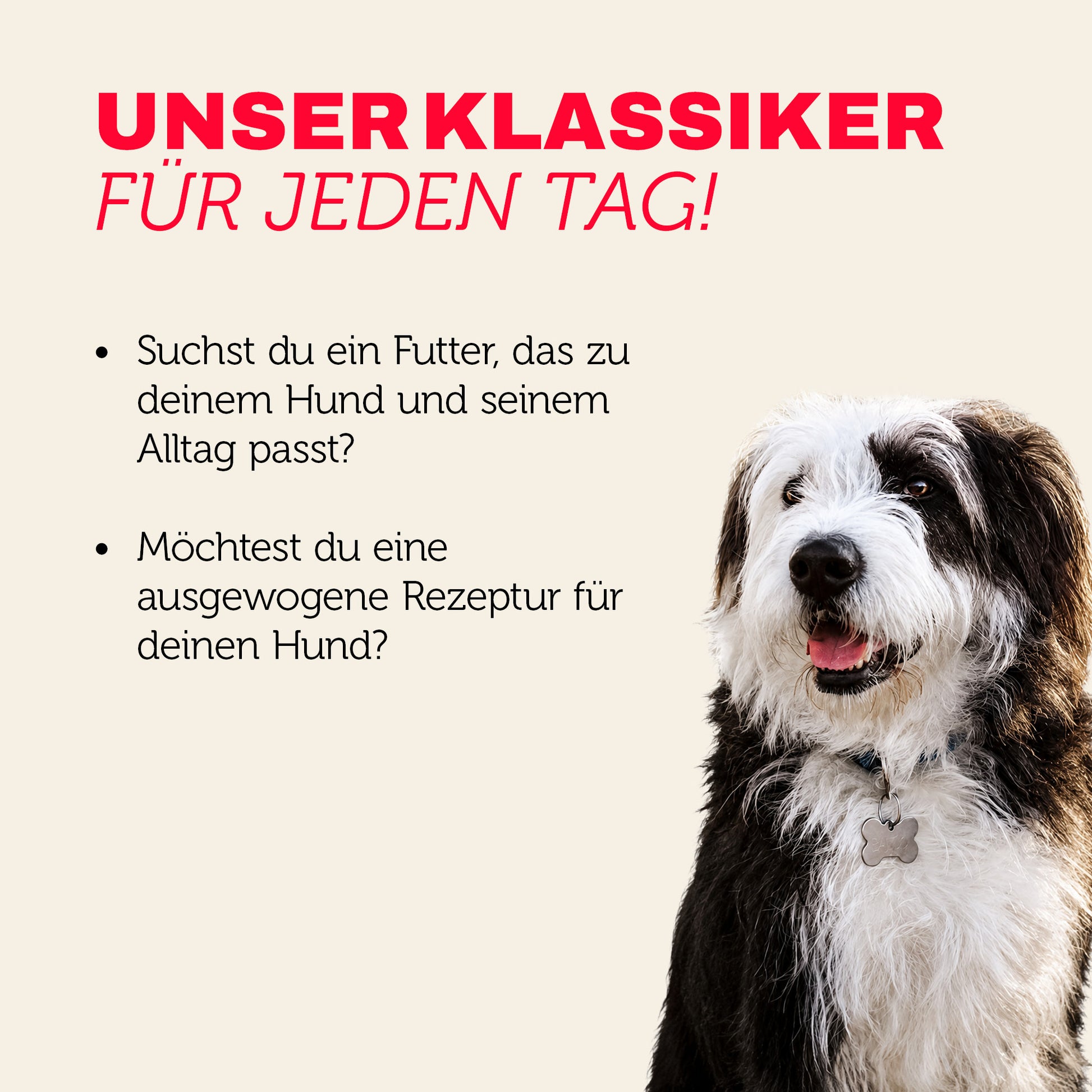 Hundefutter Klassiker für jeden Tag - ausgewogen und mit mehr Genuss