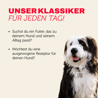 Hundefutter Klassiker für jeden Tag - ausgewogen und mit mehr Genuss
