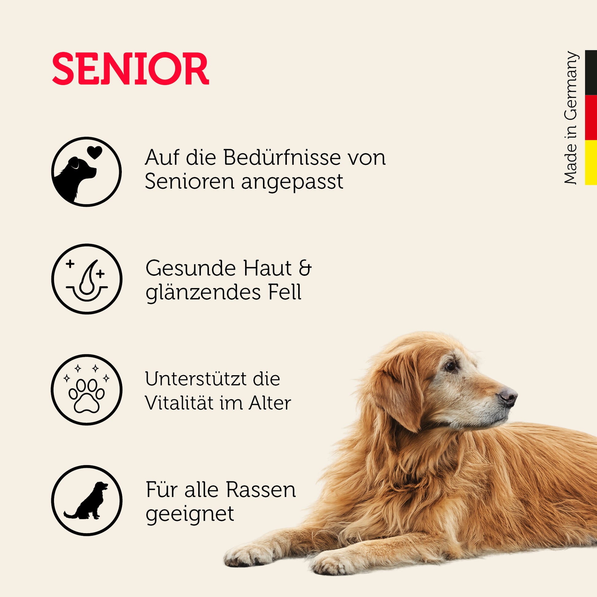 Senior-Hundefutter für alle Hundegrößen