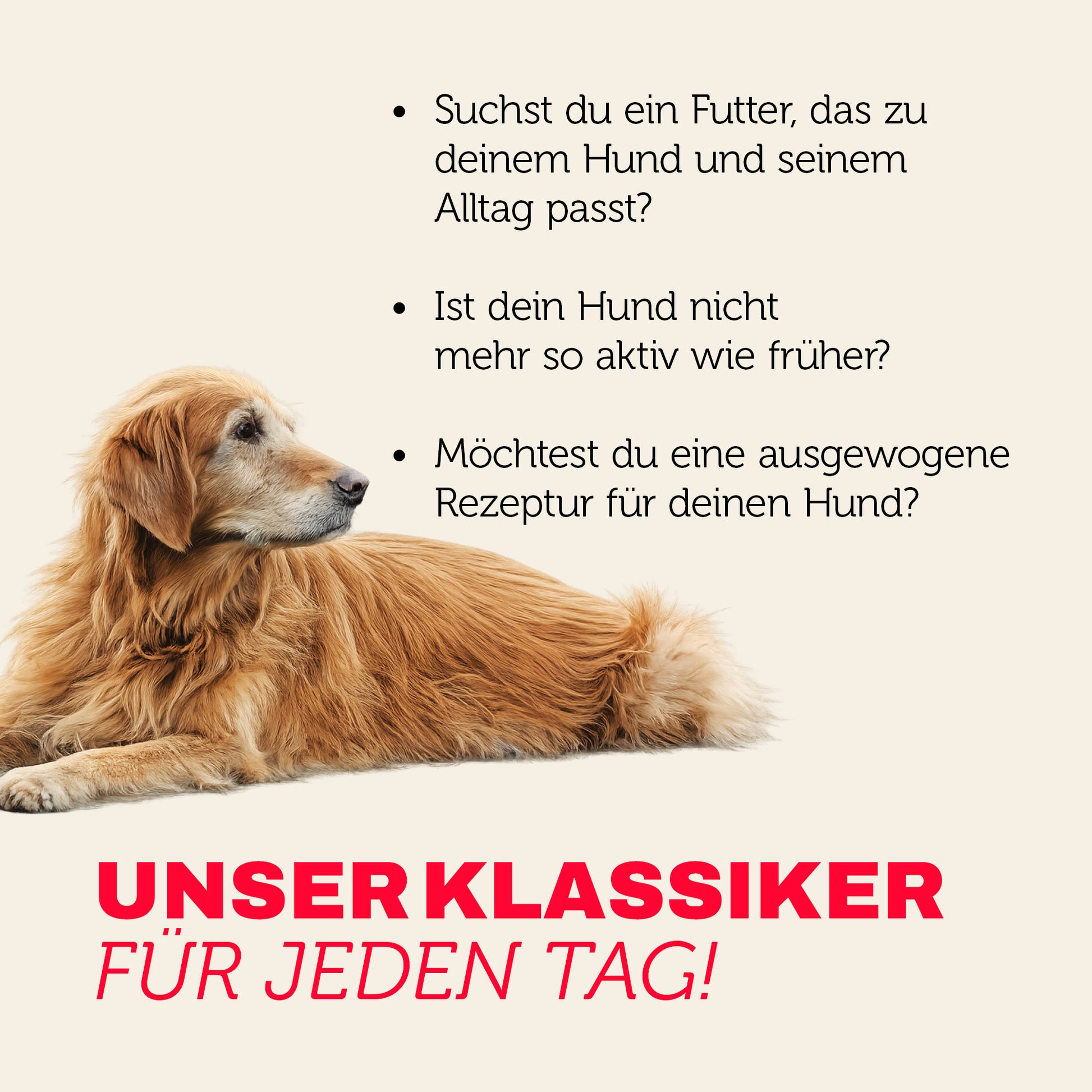 Hundefutter Klassiker für jeden Tag - ausgewogen und mit mehr Genuss für ältere Hunde