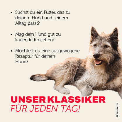 Hundefutter Klassiker für jeden Tag - ausgewogen und mit mehr Genuss